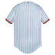 Jersey Leones Blanco Rayado Caballero 2024