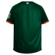 Jersey Leones Verde Rayado Caballero 2023