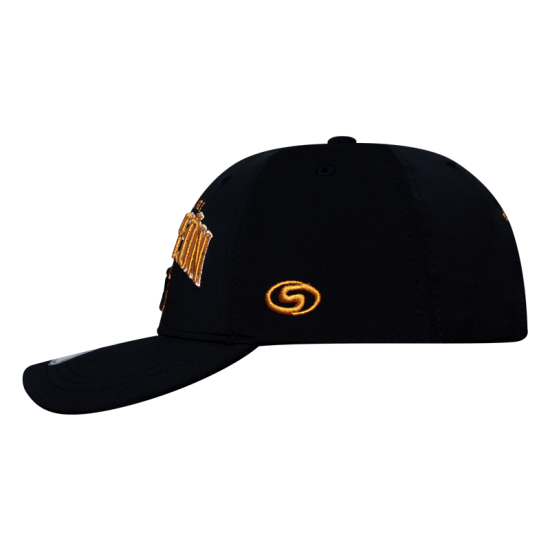 Gorra Leones Premium Campeón/22