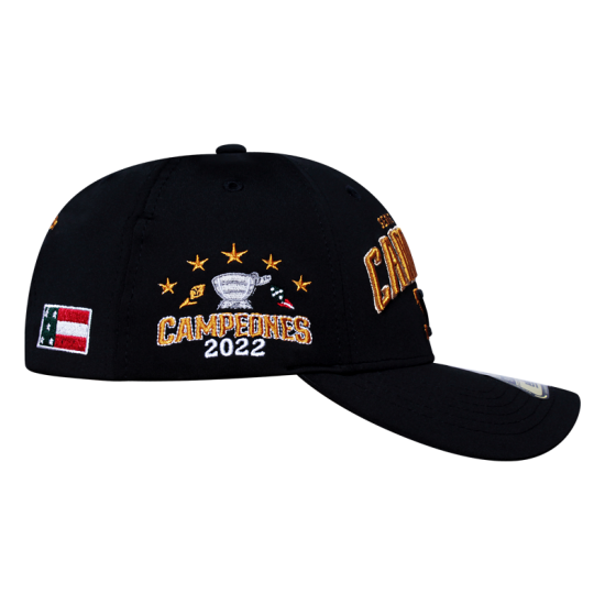 Gorra Leones Premium Campeón/22