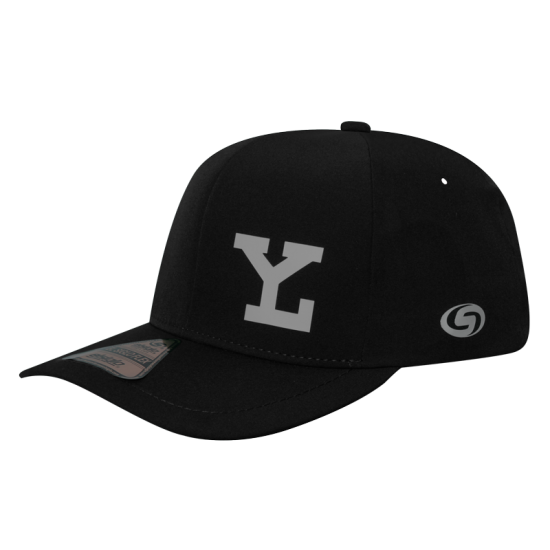 Gorra Leones Alpha Negro LY