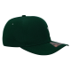 Gorra Leones Alpha Verde LY