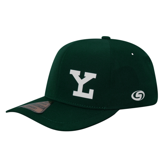 Gorra Leones Alpha Verde LY