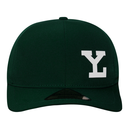 Gorra Leones Alpha Verde LY