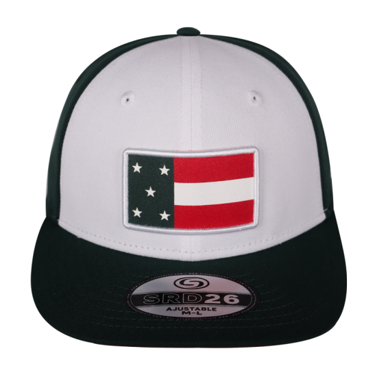 Gorra Leones SRD26 Blanco-Verde BANDERA