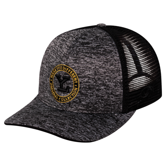 Gorra Leones SB Make You DIF LY