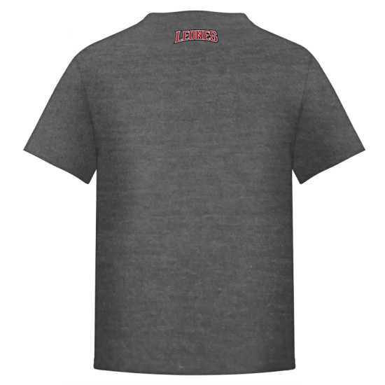 Playera Leones Super Héroe Gris Infantil