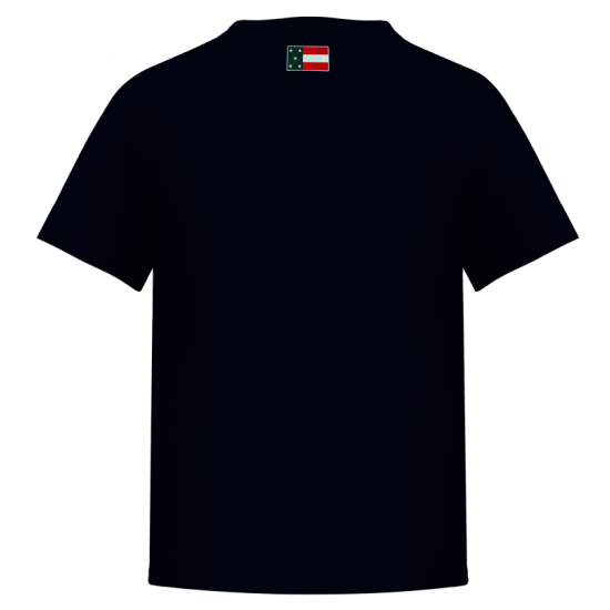 Playera Leones Marino Infantil