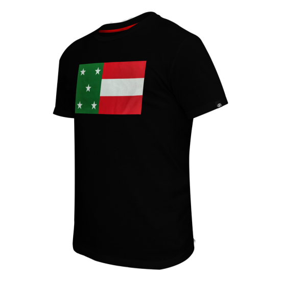 Playera Leones Bandera Negro JP25 Caballero