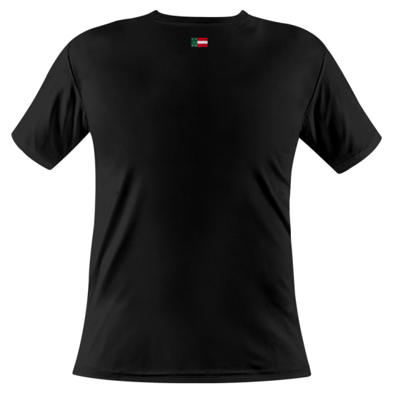 Playera Leones Negro Dorado Caballero