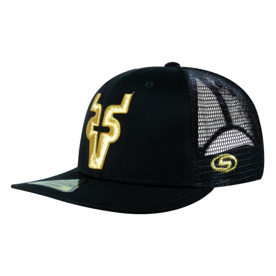 Gorra Venados Snapback Ngo Golden V